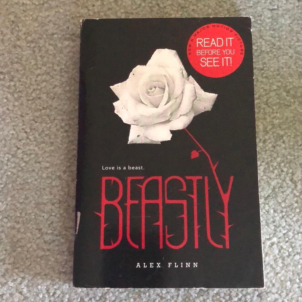 🌸 Book Bundle - Picture 4 of 8